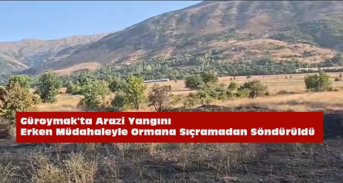 Güroymak'ta Arazi Yangını Erken Müdahaleyle Ormana Sıçramadan Söndürüldü