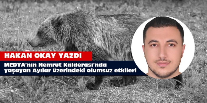 MEDYA’nın Nemrut Kalderası’nda yaşayan Ayılar üzerindeki olumsuz etkileri