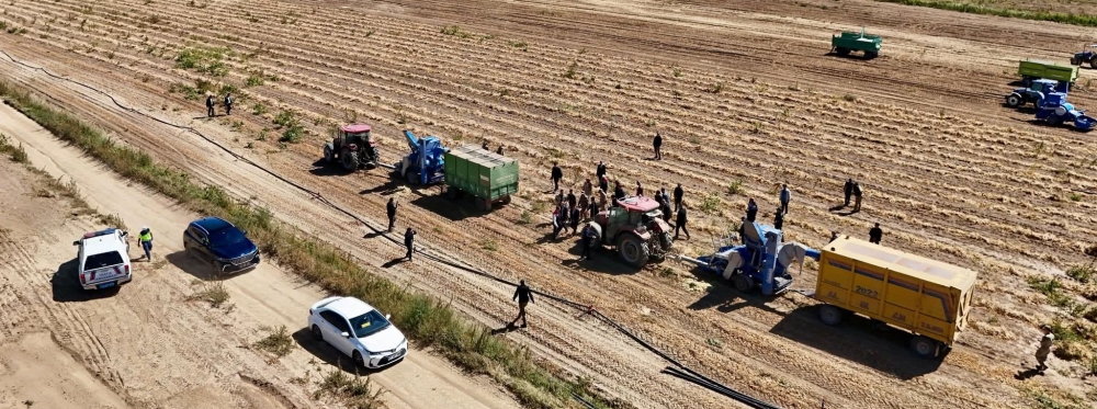 Bitlis’te Fasulye Hasadıyla Rekor: Vali Karakaya Katıldı