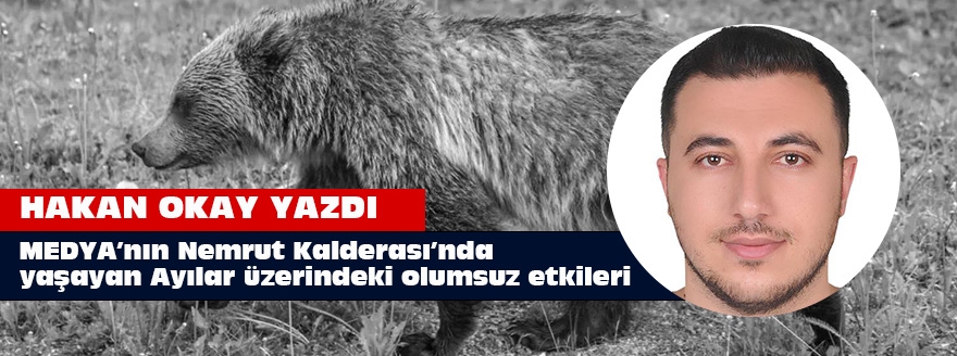 MEDYA’nın Nemrut Kalderası’nda yaşayan Ayılar üzerindeki olumsuz etkileri