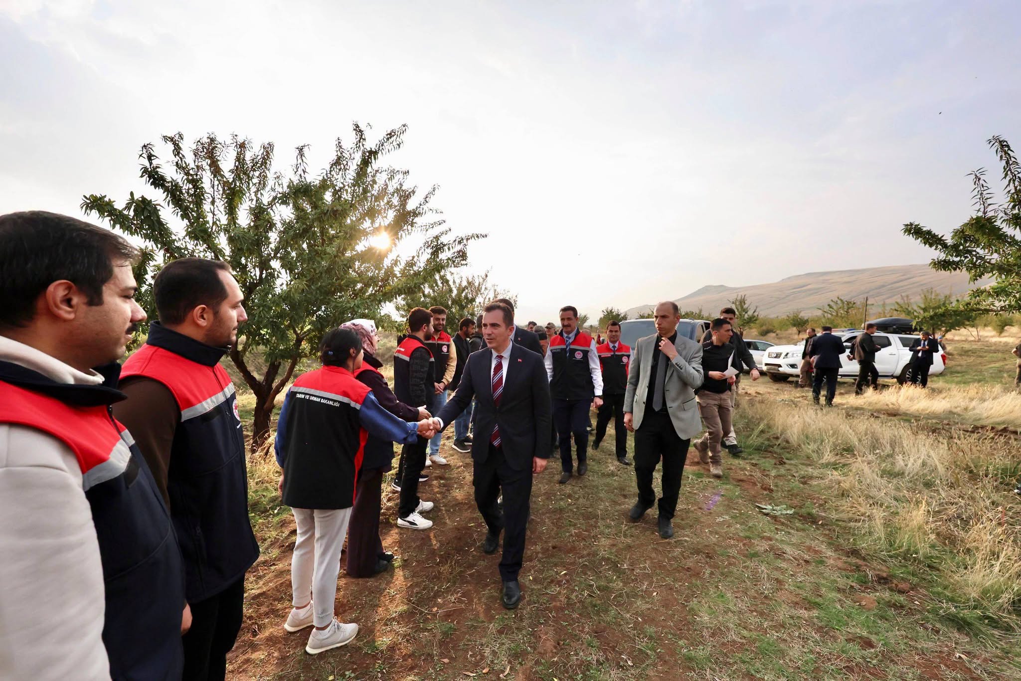 Güroymak'ta Badem Hasadı Gerçekleştirildi