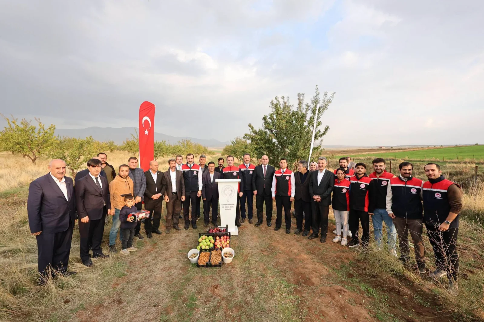 Güroymak'ta Badem Hasadı Gerçekleştirildi