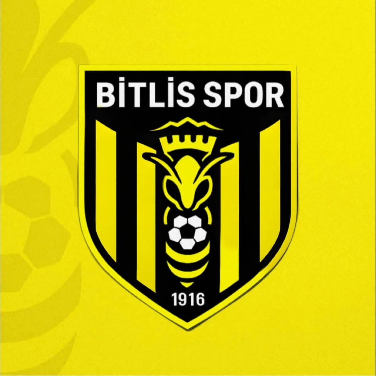 Bitlis Spor 1916 Erciyes 38 Maçına Hazırlanıyor
