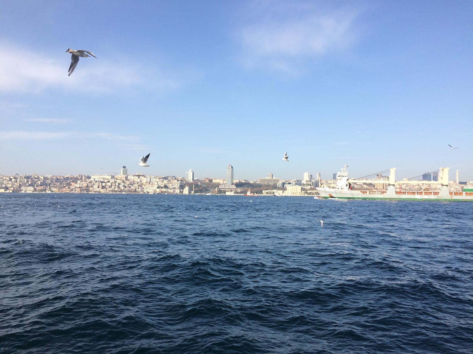 Dile getirmenin bir faydası var mı?