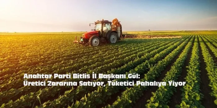Anahtar Parti Bitlis İl Başkanı Gül: Üretici Zararına Satıyor, Tüketici Pahalıya Yiyor