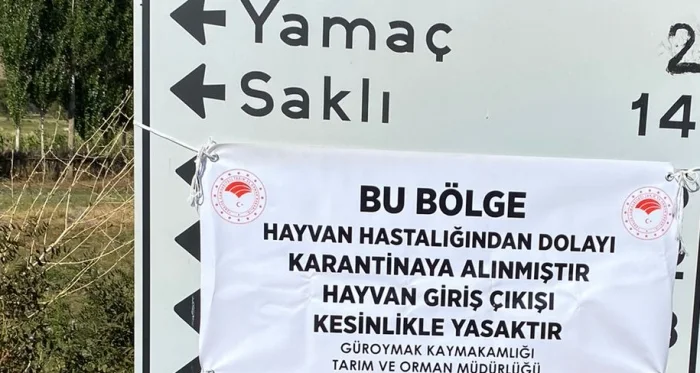 Güroymak’ta Şarbon Alarmı: Yamaç Mahallesi’nde Karantina Uygulaması Başlatıldı