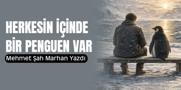 Mehmet Şah Marhan yazdı: Herkesin İçinde Bir Penguen Var